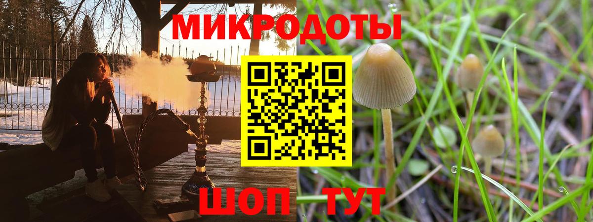 Псилоцибиновые грибы GOLDEN TEACHER Губаха