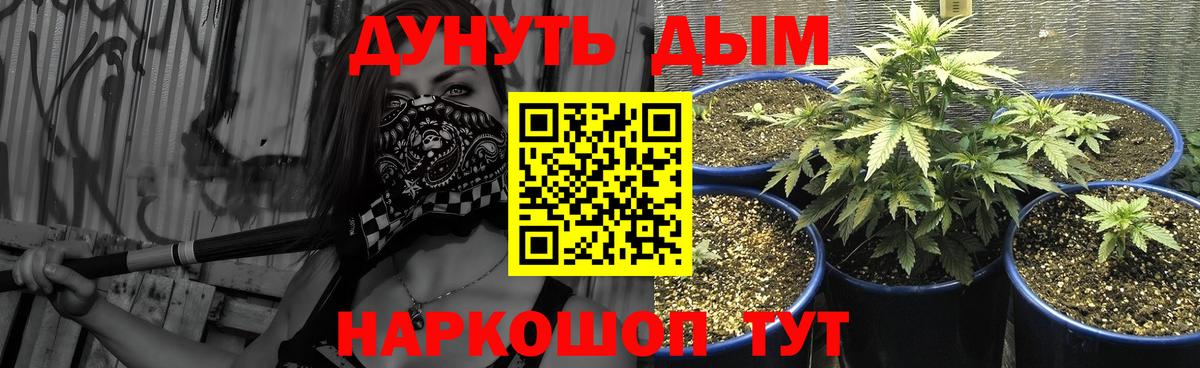Бошки марихуана сатива  Вход с VPN  Конопля OG Kush  Бошки марихуана гибрид  Губаха 